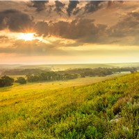 Doubling Protected Lands for Biodiversity Could Require Tradeoffs With Other Land Uses, Study Finds