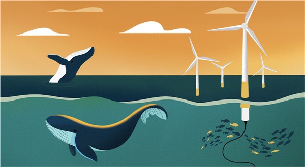 How Fiber-Optic Sensing and New Materials Could Reduce the Cost of Floating Offshore Wind