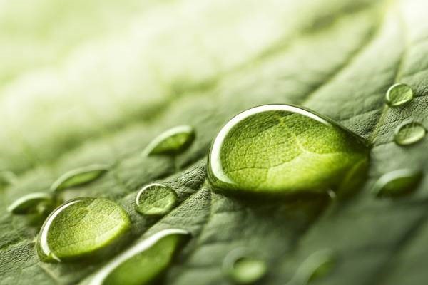 European Commission backs RINA's Hydra Project to Drive 100% Hydrogen fuelled Steel Production