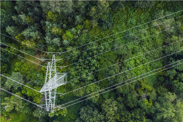 AI to Power the Next Phase of Clean Energy Transition