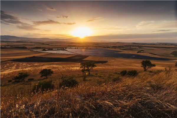 European Energy Begins Construction on Italy's Largest Agrivoltaic Project